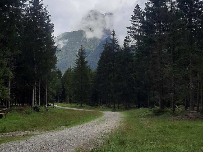 Naturschutzgebiet Riedboden - Routes for Walking and Hiking | Komoot