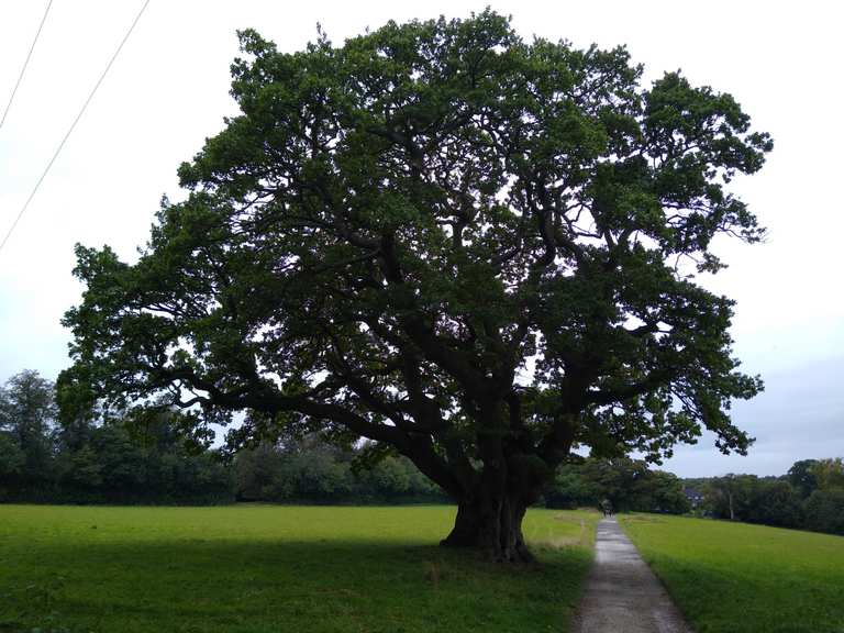 Osmaston & Shirley Park loop from Ashbourne | hike | Komoot
