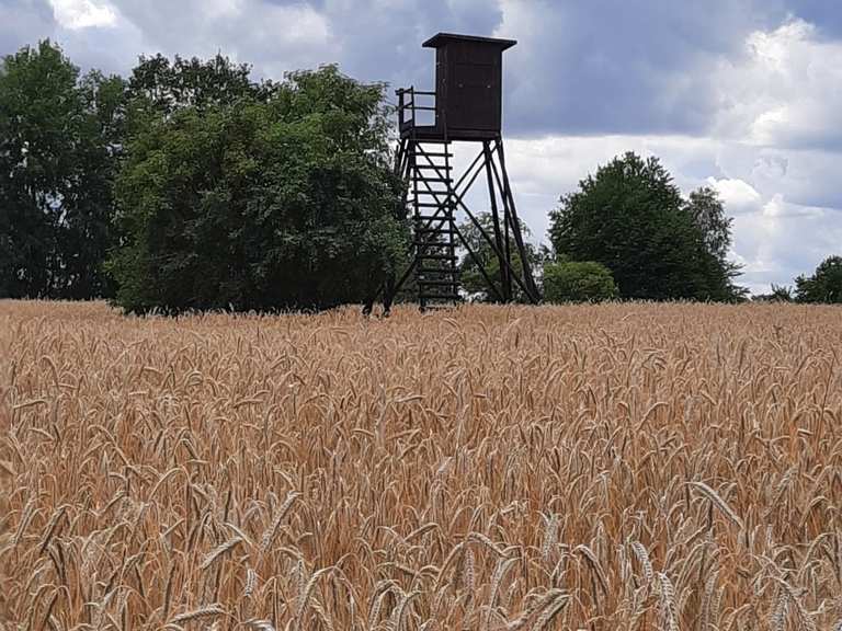 Dippelsdorfer Teich Dippelsdorfer Teich Rondje vanuit Friedewald