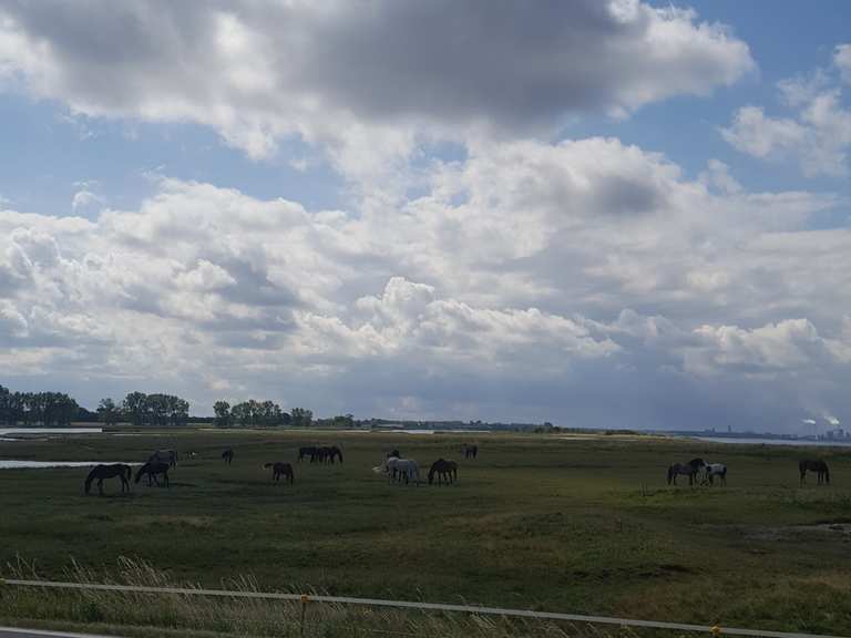 auf der insel poel fahrrad fahren