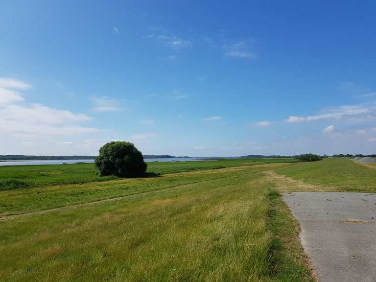 Durch die Marsch zur Haseldorfer Binnenelbe entdecke Hamburgs Herbstzauber Fahrradtour Komoot