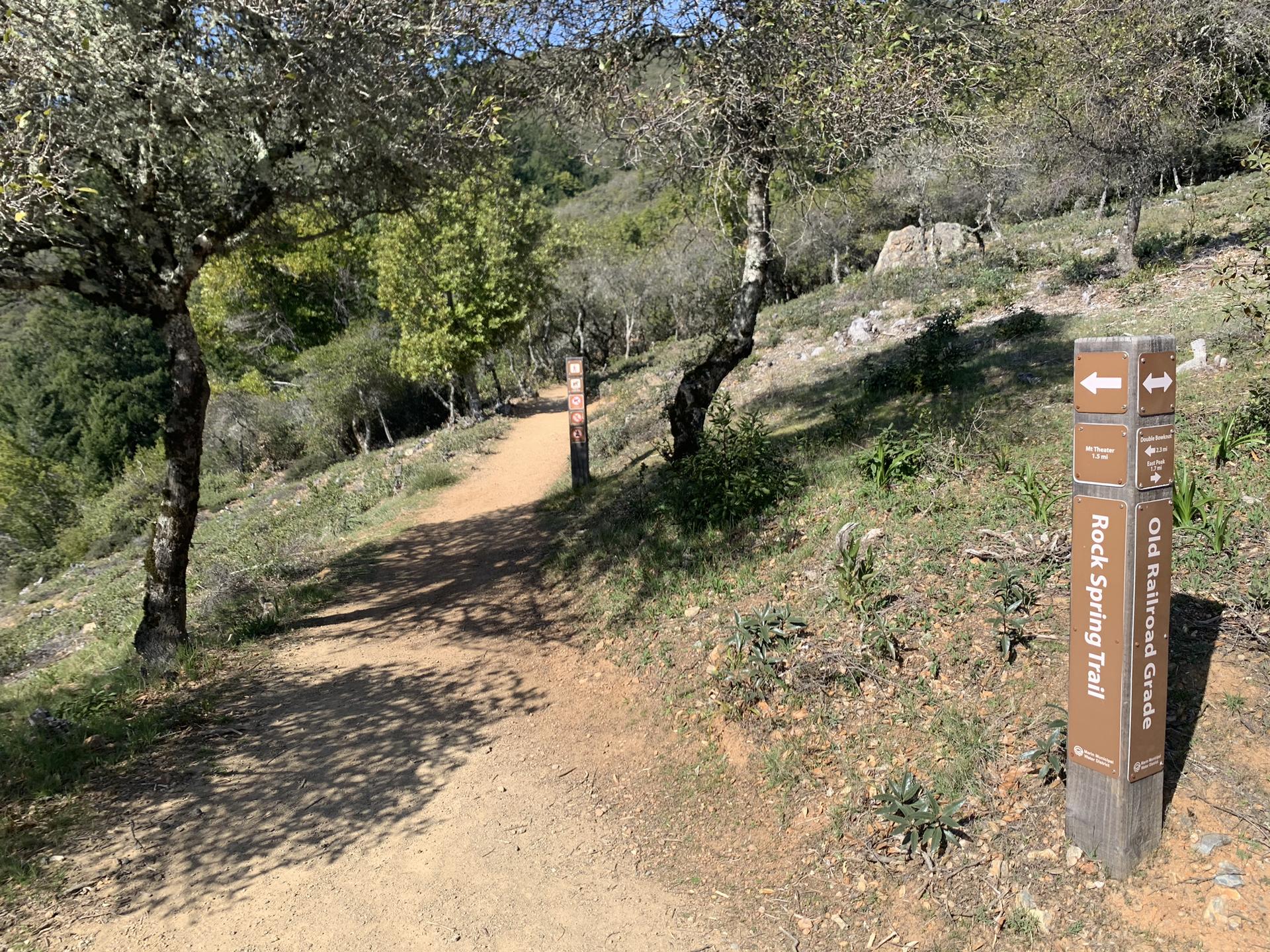 Dirt trail winding uphill between trees, with trail markers.