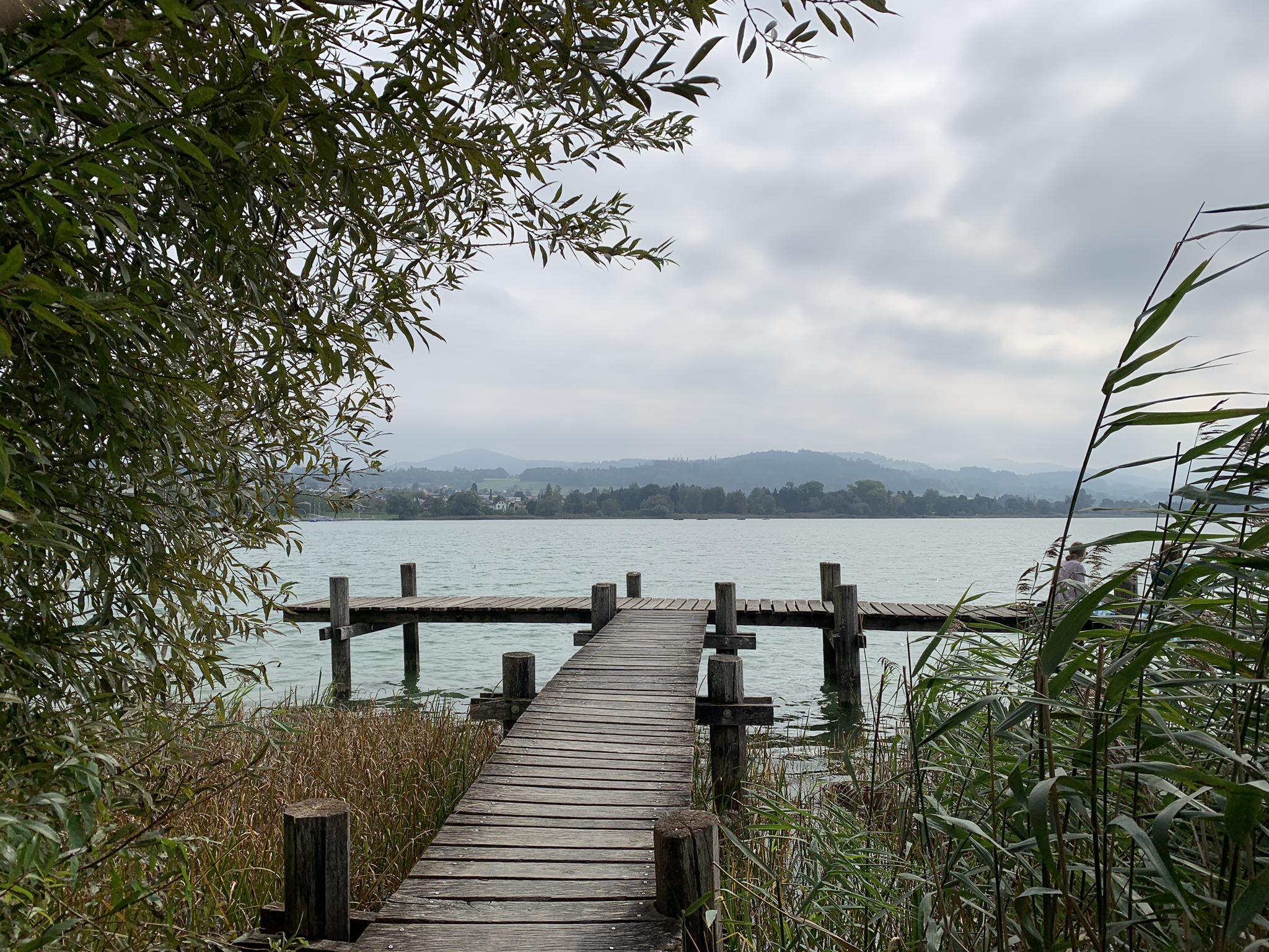 Blick Auf Seegräben – Aussichtsstege Runde Von Pfäffikon | Wanderung ...