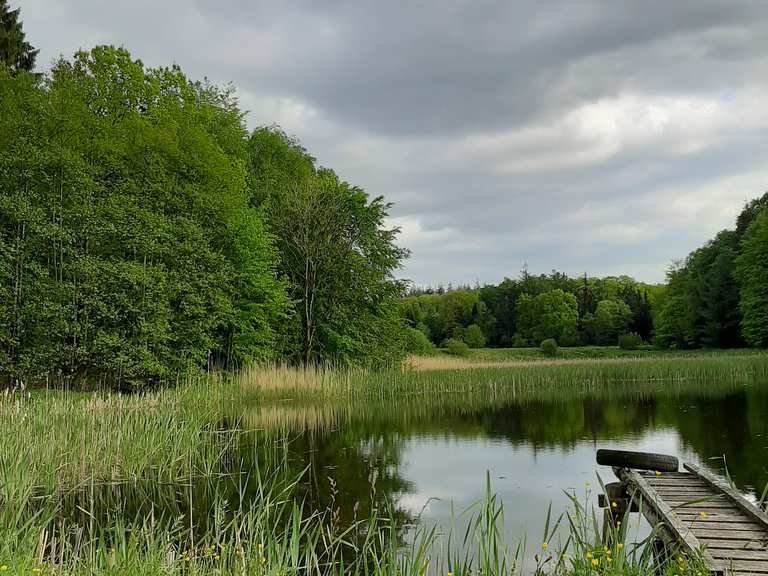 An den Teichen Wanderungen und Rundwege komoot