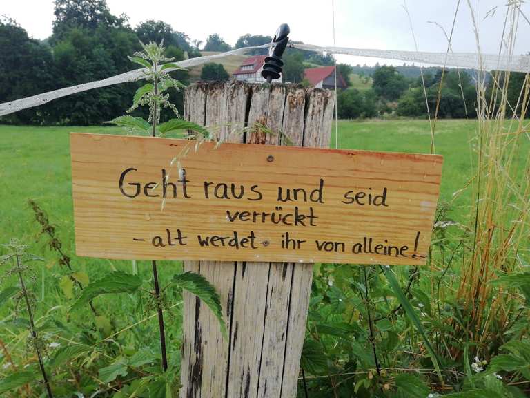SchöneSprücheWeg Mörlenbach, Bergstraße Wanderweg Komoot