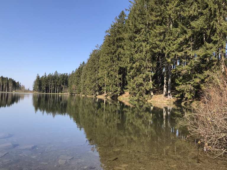 Oberer und Mittlerer Grumbacher Teich Wanderungen und Rundwege komoot