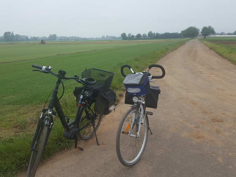 Kraut- und Rübenweg Abschnitt - fietsroutes en kaart | Komoot