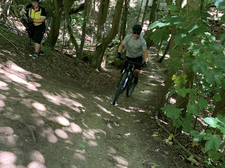 Friston forest clearance mtb