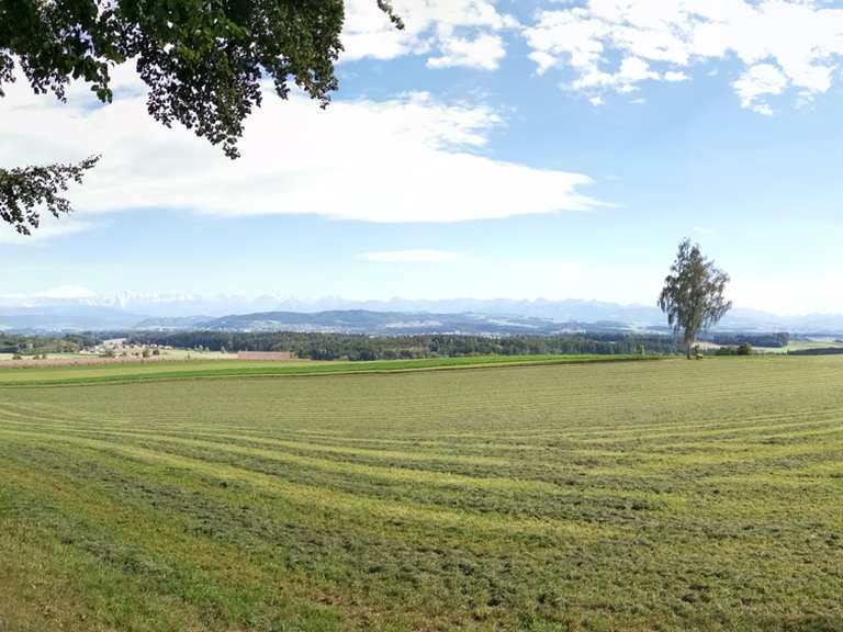 Frienisberg Kurz Und Intensiv Meikirch Aarberg Mountainbiketipps Fotos Komoot