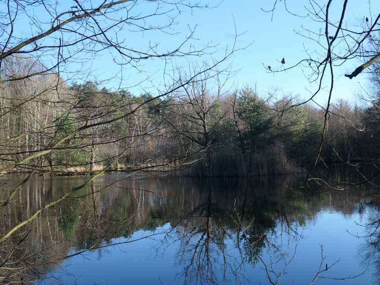 DreiInselTeich mit Vogelaussicht Routes for Walking and Hiking Komoot
