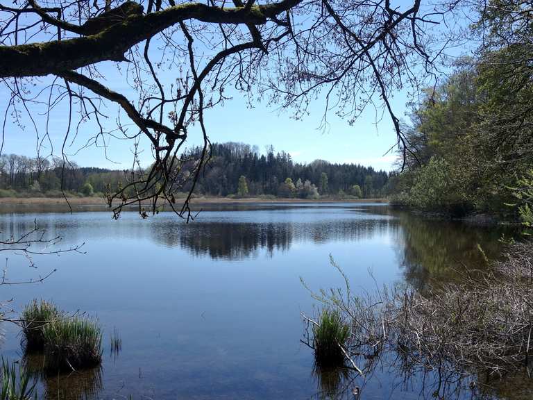 Rösslerweiher MountainbikeTouren und Trails komoot