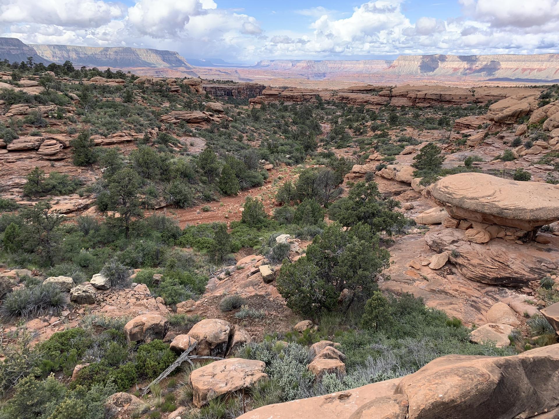 Desert landscape with scattered green trees, red rock formations, and distant mesas.