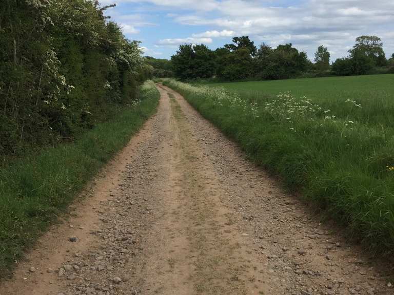 Ryton Pools Country Park loop | mountain bike ride | Komoot