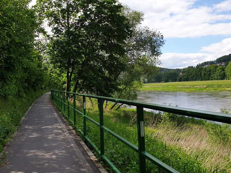 Elberadweg von Bad Schandau nach Königstein Rennradfahren und Rennradtouren komoot