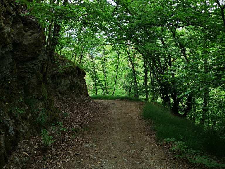 Geierlayschleife: Wanderungen und Rundwege | komoot