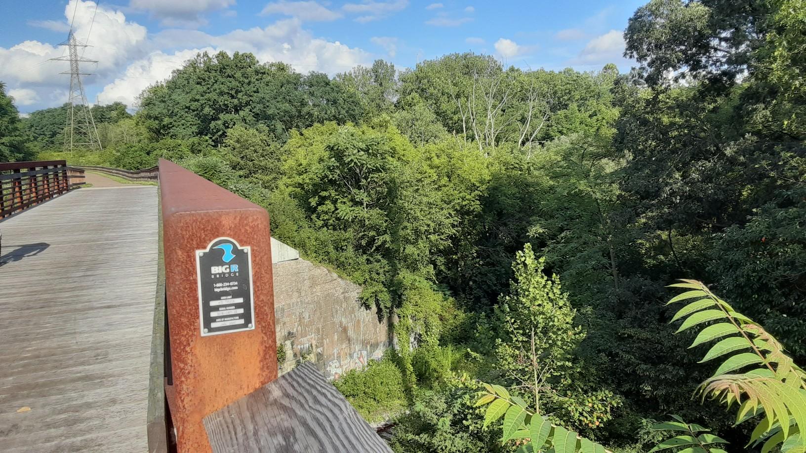 A wooden bridge railing overlooks a lush green forest under a bright, cloudy sky.
