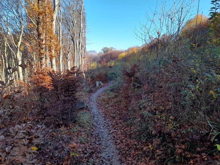 RoanTrail Mountain Bike Trails & Tracks Komoot