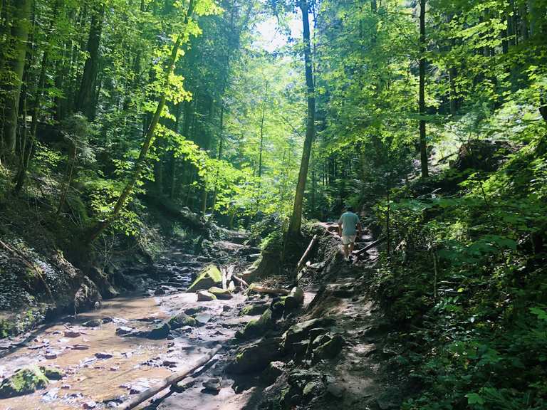 Hörschbachschlucht: Wanderungen und Rundwege | komoot