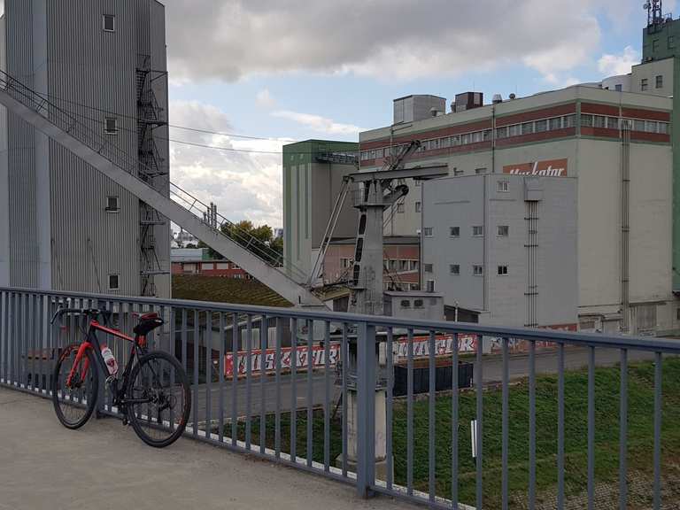 fahrrad mannheim sandhofen