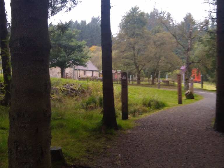 Kielder Water Birds of Prey Centre – One of the largest collections of birds  in the North of England