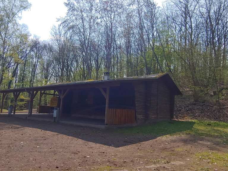 Grillhütte Dalfter: Wanderungen und Rundwege | komoot