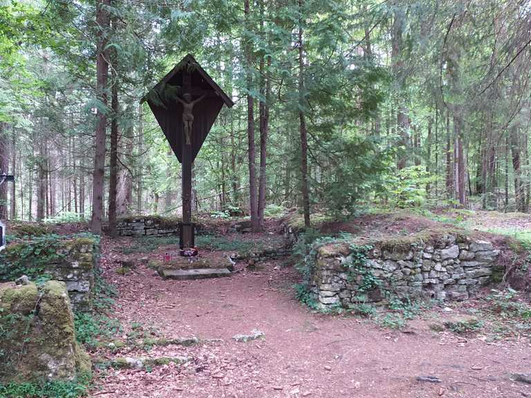 Ruine Pirkenreuther Kapelle Routes for Walking and Hiking | Komoot