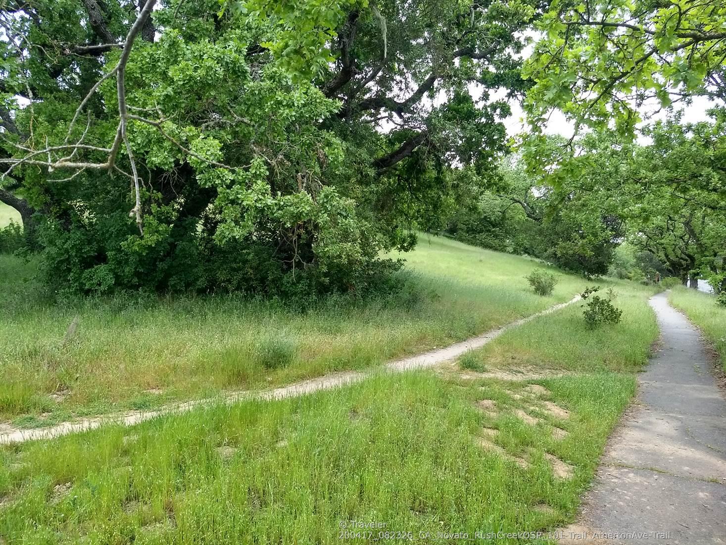 Two paths, one paved and one dirt, diverge through a green, tree-lined landscape.