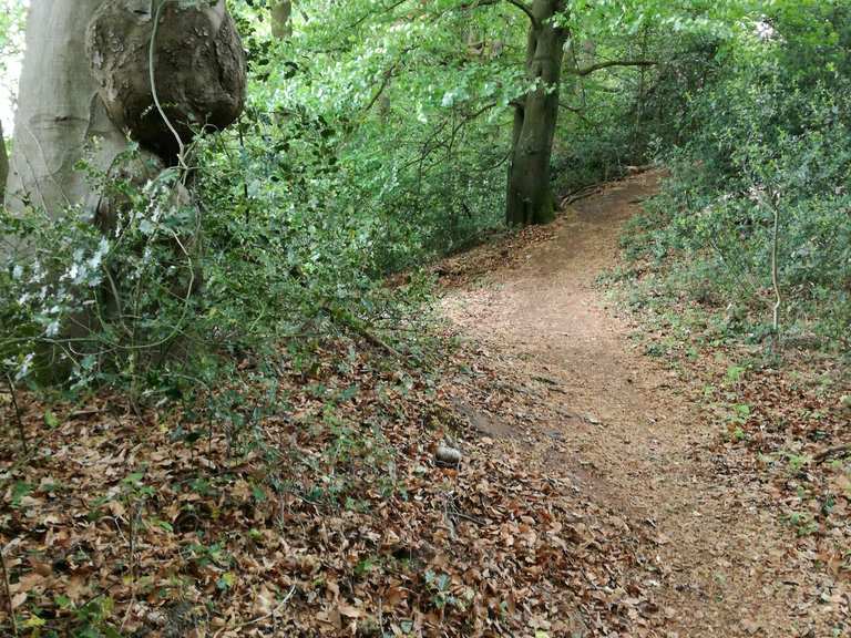 Emshöhenweg Wanderungen und Rundwege komoot