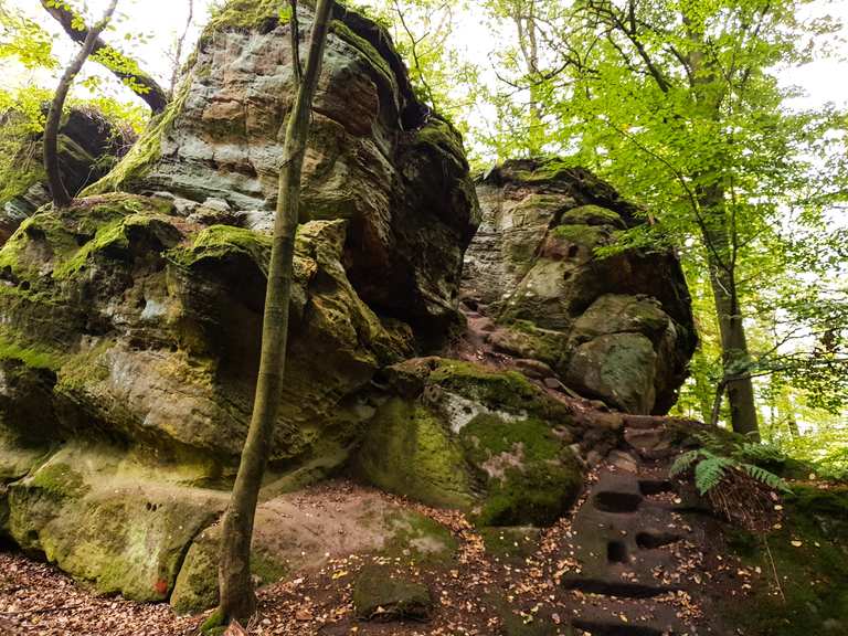Teufelstein Pfarrweisach, Haßberge Wandertipps & Fotos Komoot