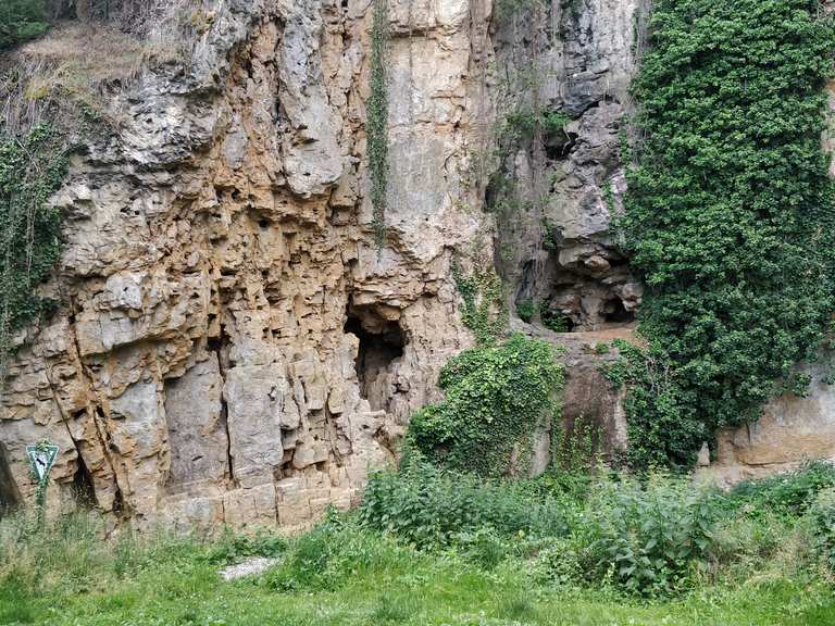 Ehemaliger Kalksteinbruch Wanderungen und Rundwege komoot