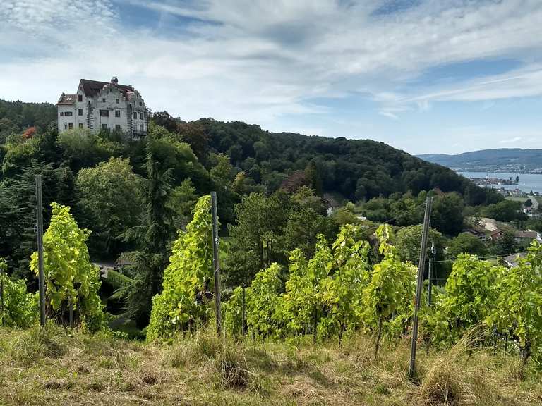Schloss Salenstein: Wanderungen und Rundwege | komoot