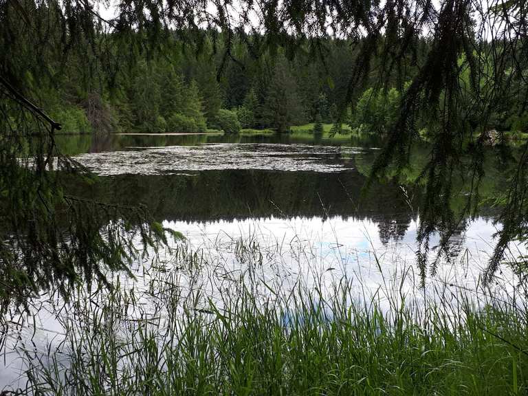 Ochsenbacher Teich Routes for Walking and Hiking Komoot