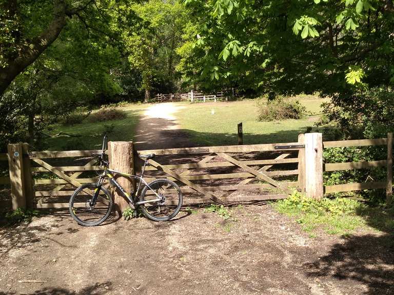 Disused railway route bridges Dome forest paths loop from