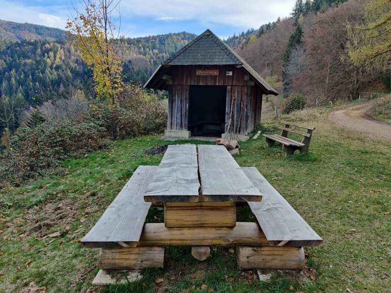 Schutzhütte Münsterberg: Wanderungen und Rundwege | komoot
