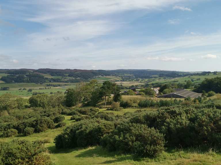 Simonside loop near Thropton — Northumberland National Park | hike | Komoot