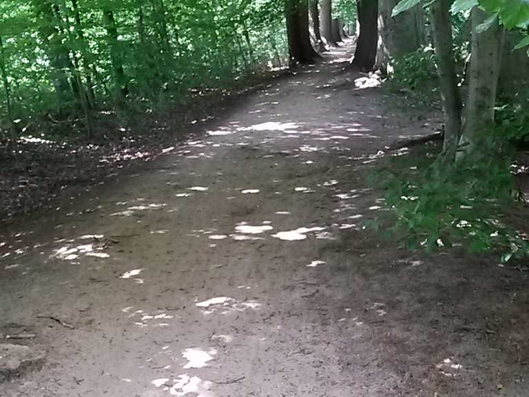 Lutter Wald NordrheinWestfalen, Deutschland Radtouren