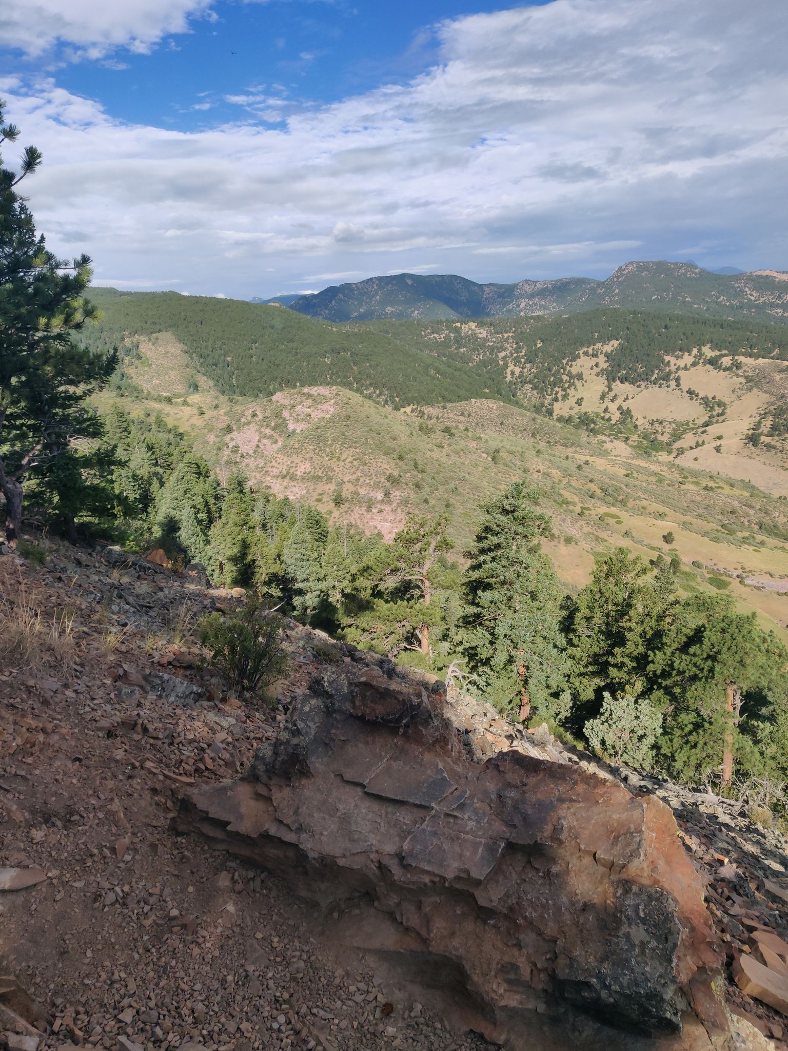 Rocky foreground overlooking vast, tree-covered mountains under a cloudy sky. - Mountainbike loop from Lefthand Trailhead