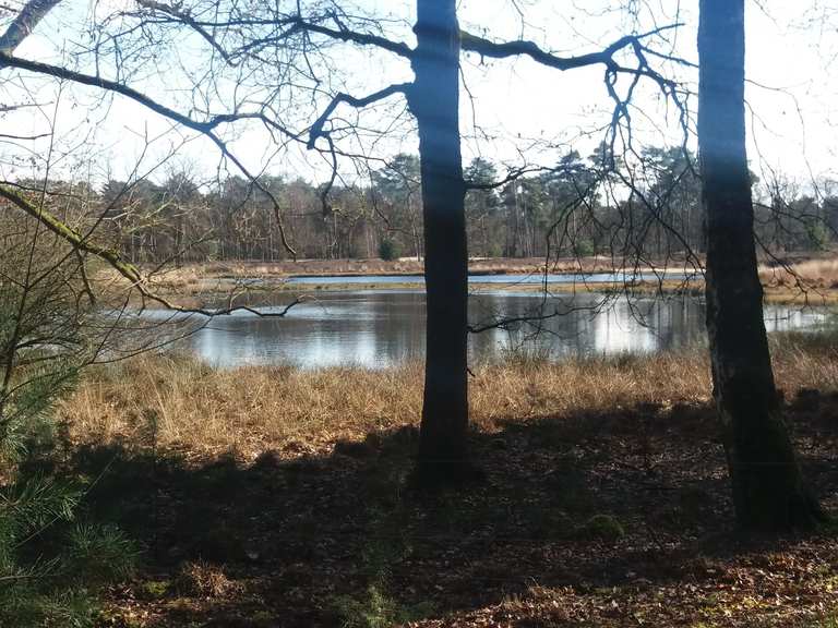 Ravenvennen Wanderungen und Rundwege komoot