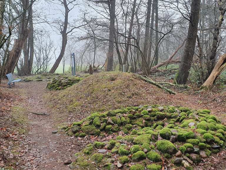Bronzezeitlicher Grabhügel mit 