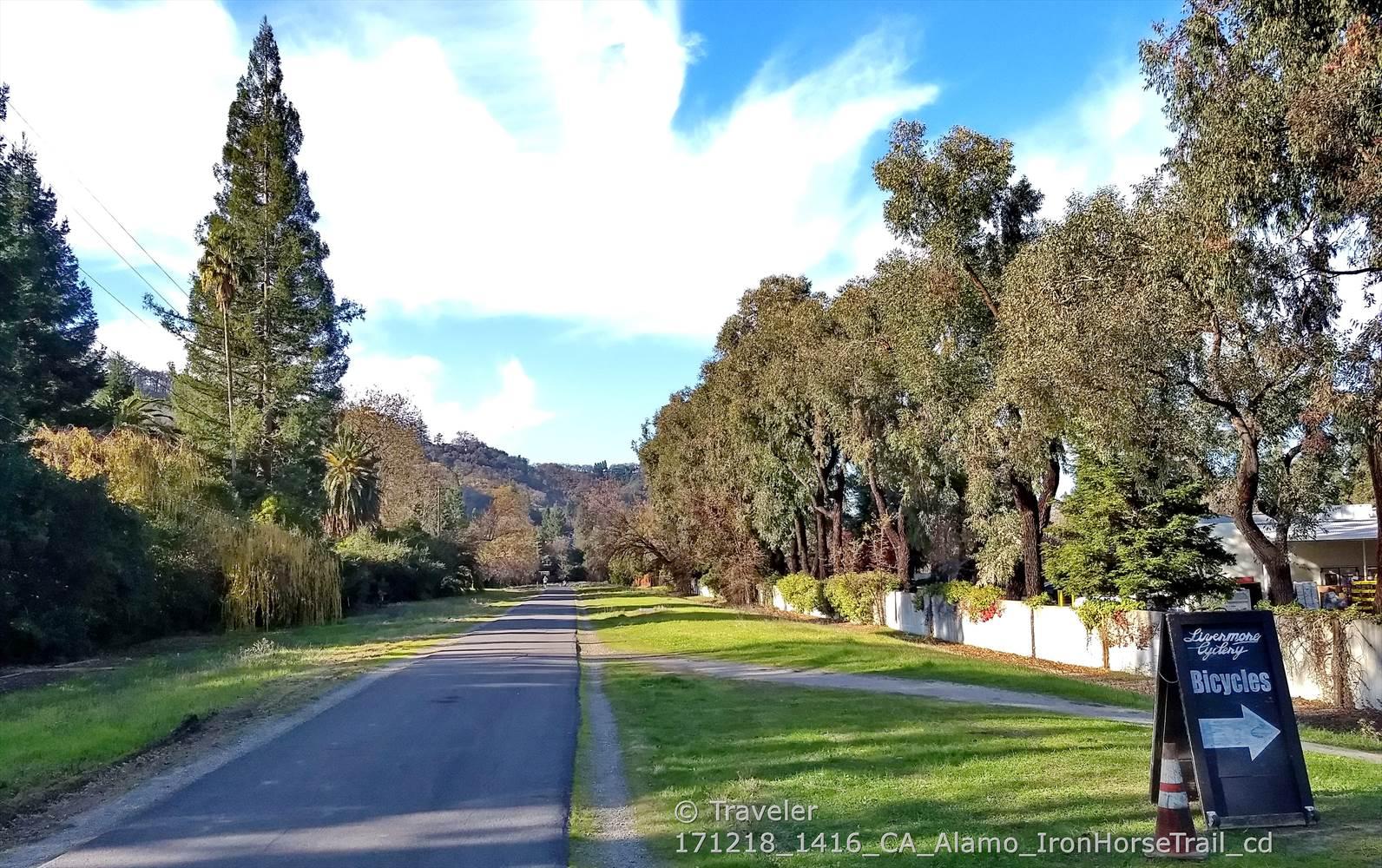 Paved road lined with tall trees and green grass under a bright blue sky.