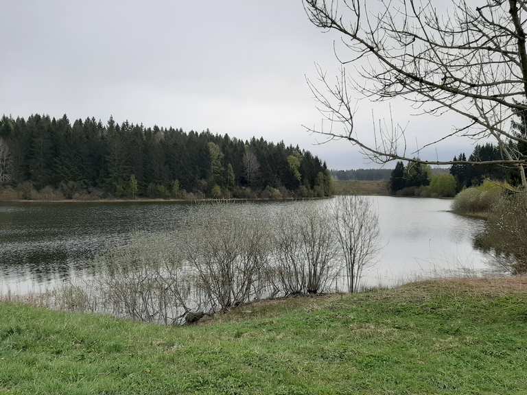 Hirschler Teich Blick über die Pfauenteiche Itinerario ad anello da