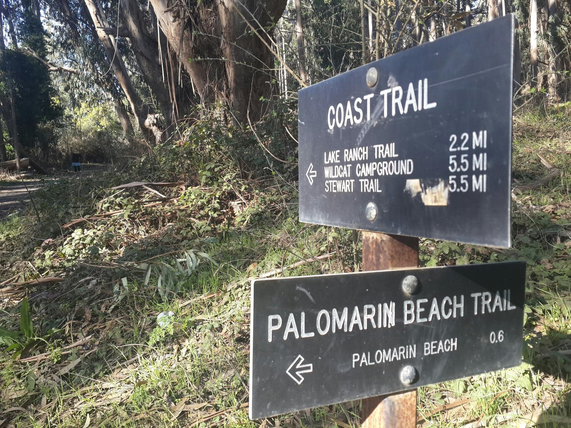 Two black directional signs with white text stand in a sun-dappled forest.