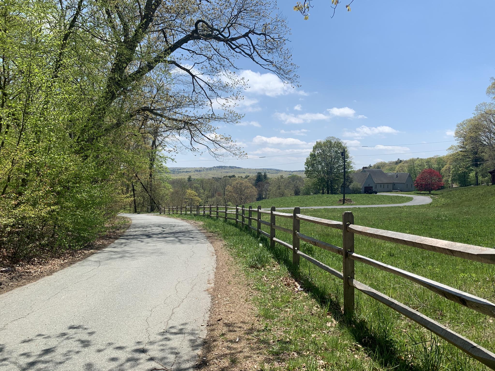 Sunny paved road curves past a wooden fence and green field.