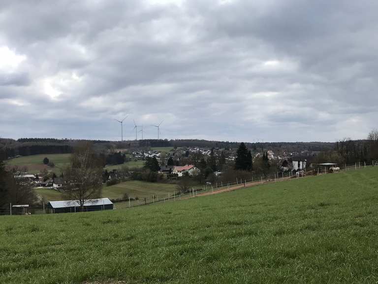 Waldkapelle – Primsweiler Wald Loop from Ensdorf (Saar) | mountain bike ...