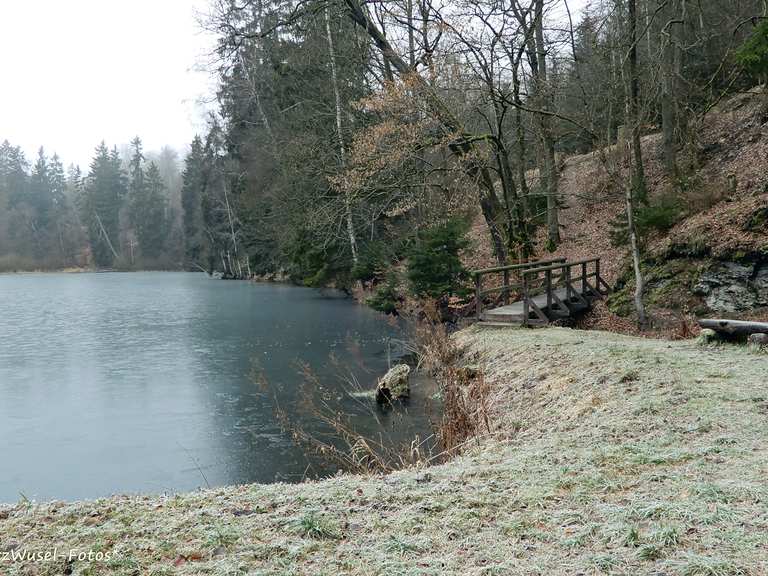 Neuer Teich, wandelroutes en hikes Komoot