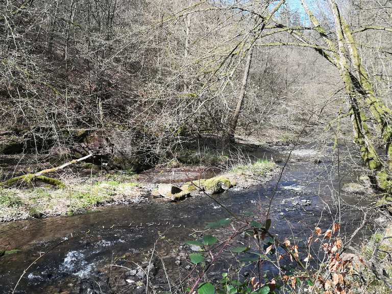 Dhünntal und Linnefetal mit Seitentälern Cycle Routes and Map Komoot
