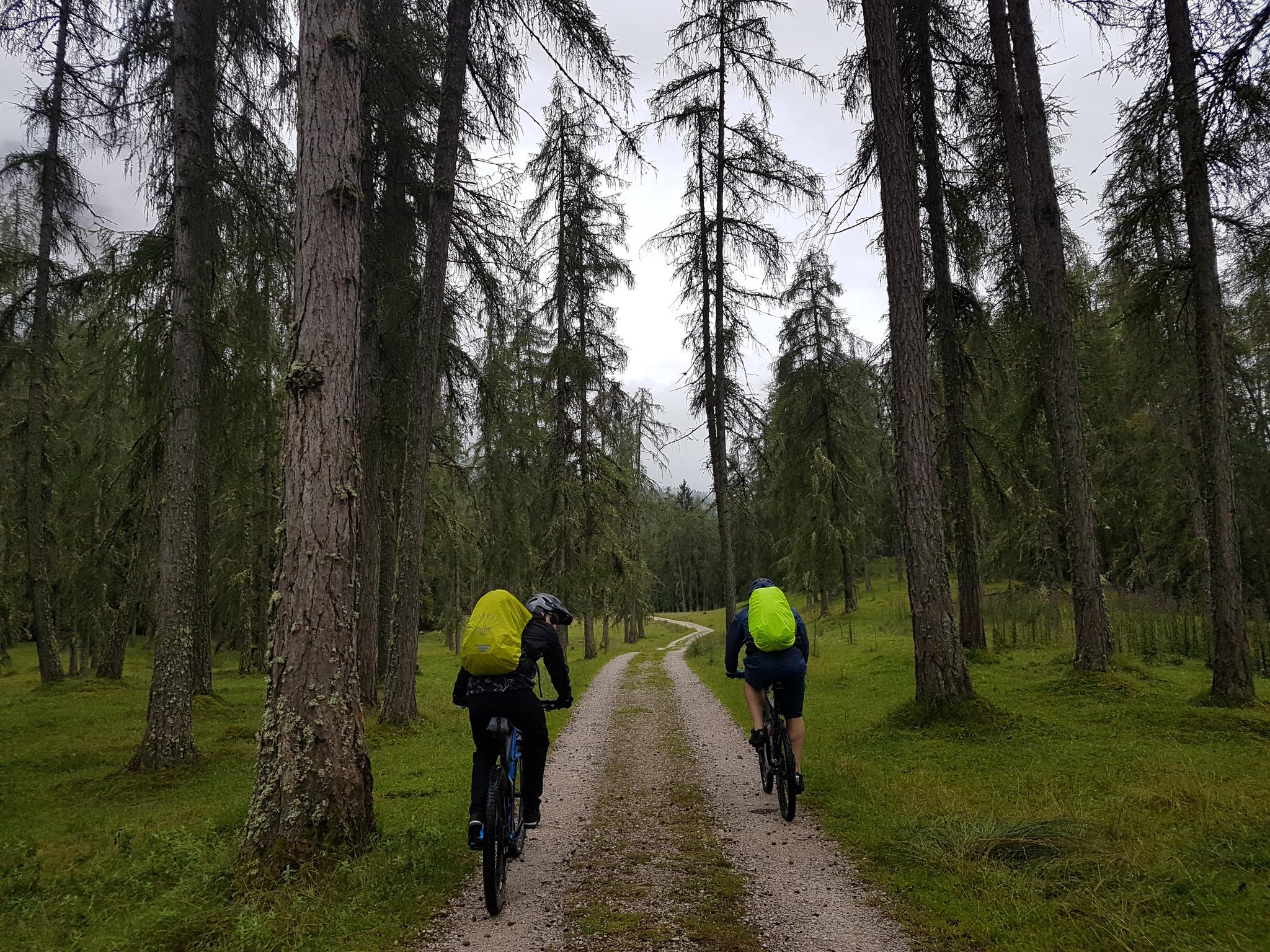 Panoramaweg Ehrwald: Mountainbike-Touren Und -Trails | Komoot