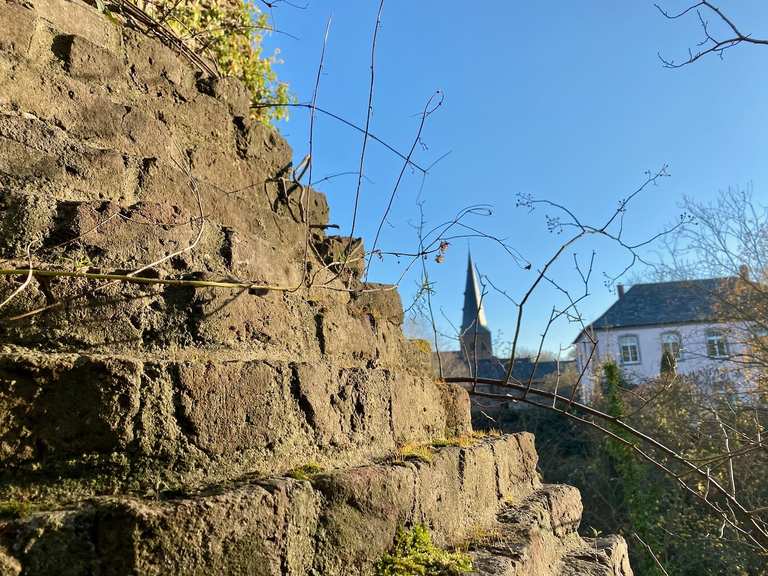 Burgruine Alt-Kaster: Wanderungen und Rundwege | komoot