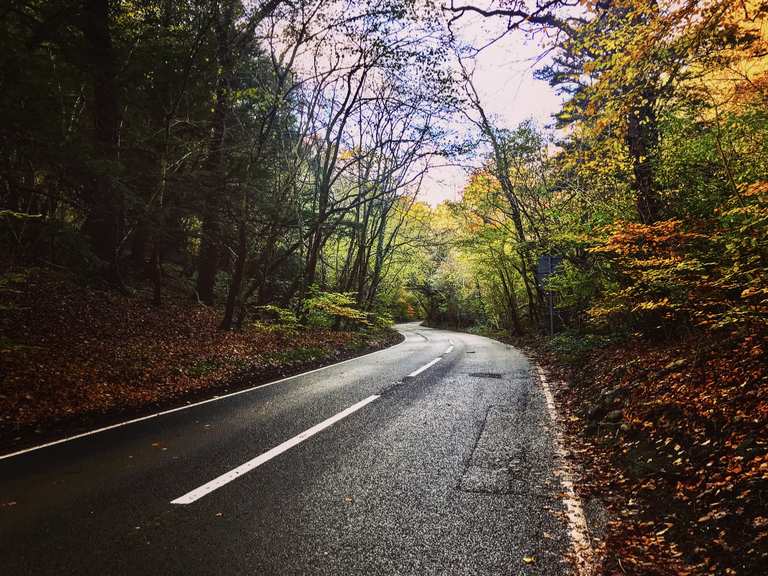 Brockley Combe Road Cycle Routes and Map Komoot