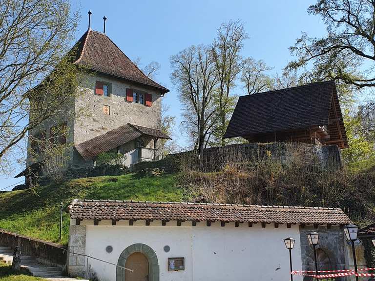 Schloss Buchegg MountainbikeTouren und Trails komoot